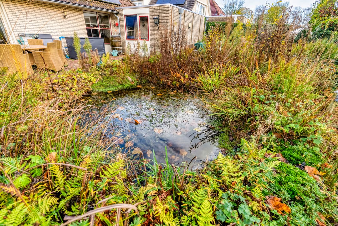 Photo 52 of Korenbloem 30