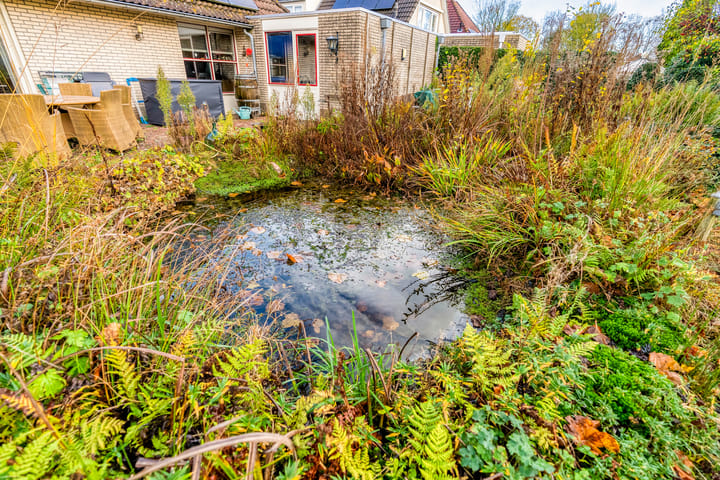 Foto 52 van Korenbloem 30