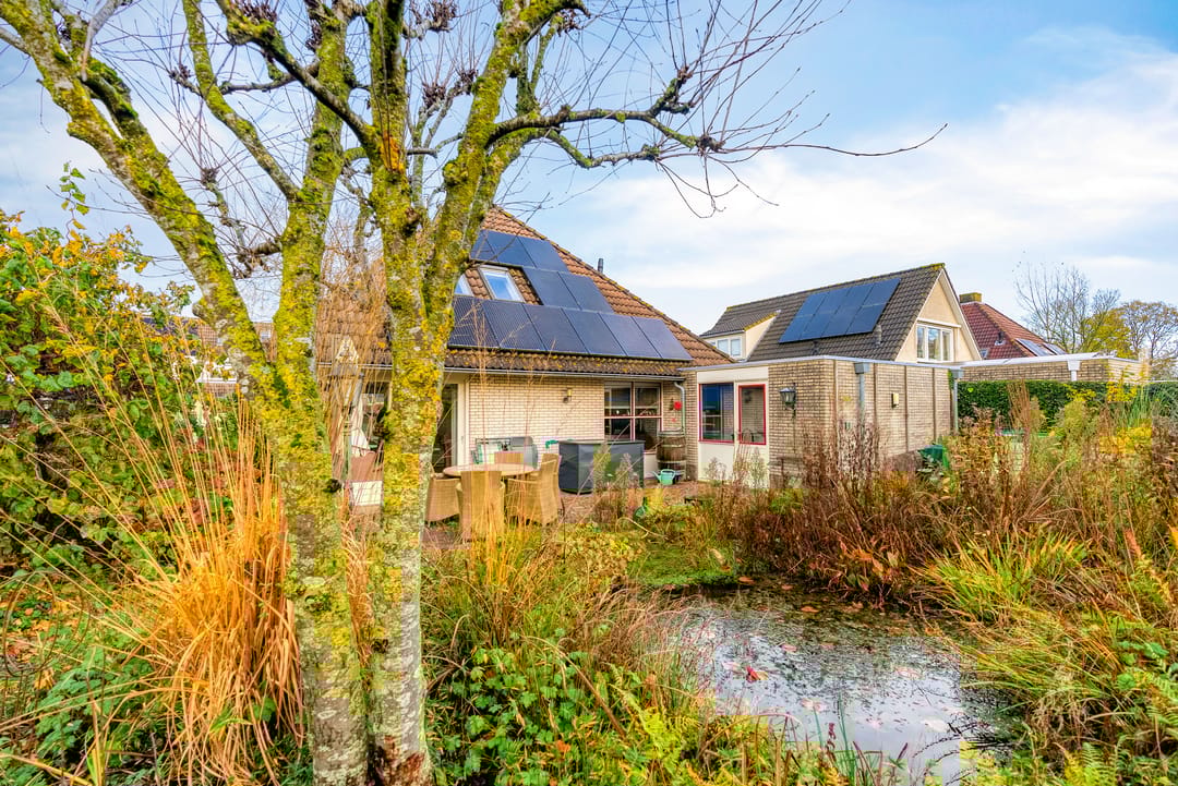 Photo 53 of Korenbloem 30