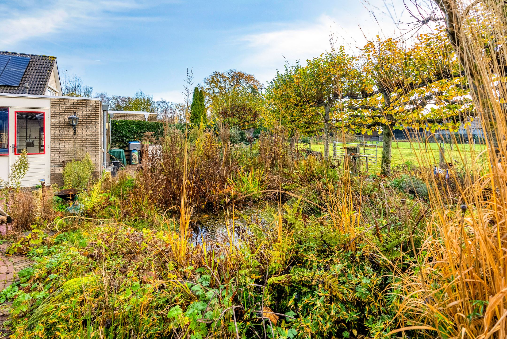 Photo 54 of Korenbloem 30