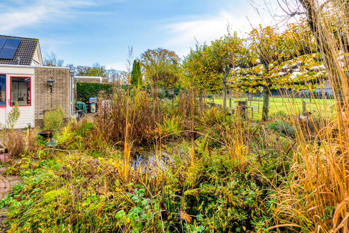 Foto 54 van Korenbloem 30