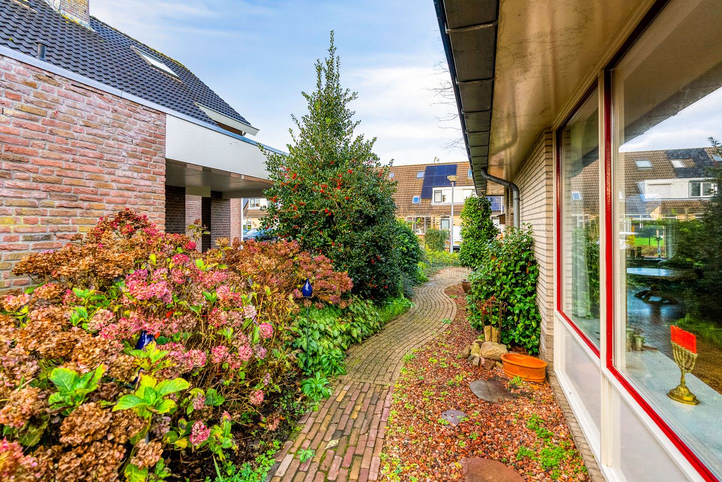 Photo 55 of Korenbloem 30