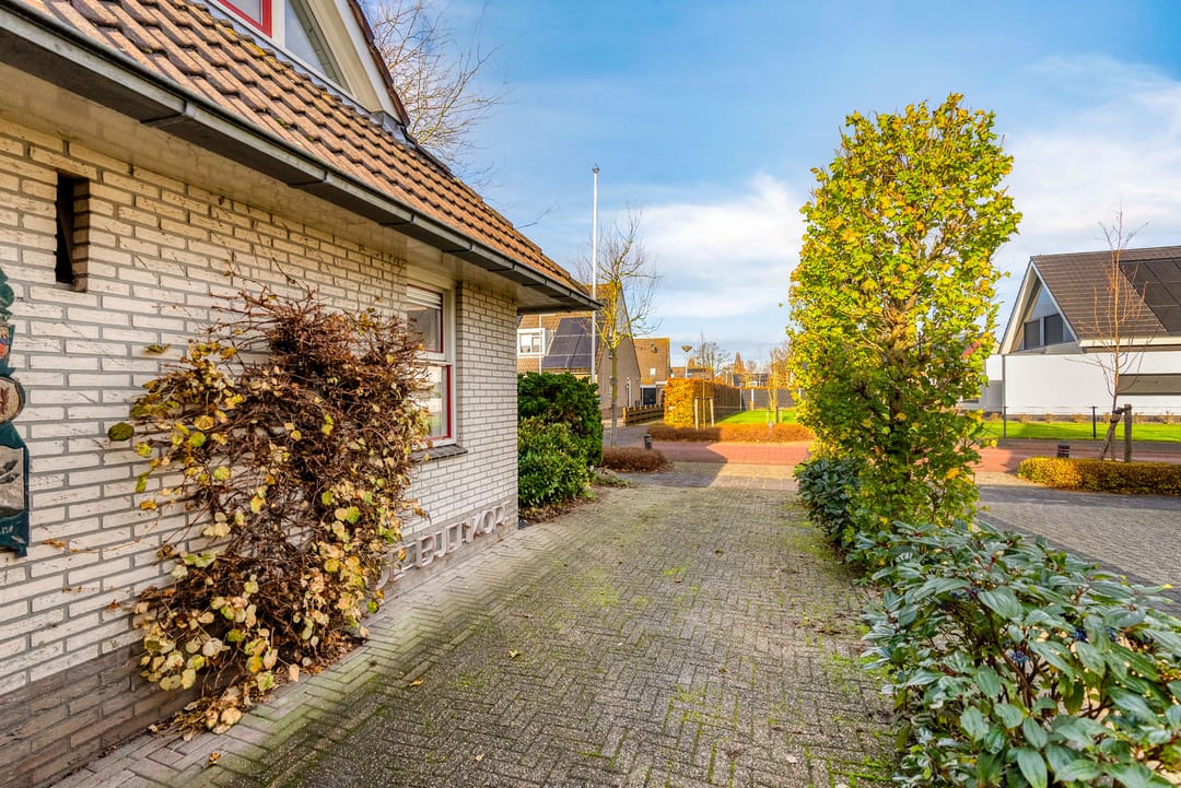 Photo 56 of Korenbloem 30