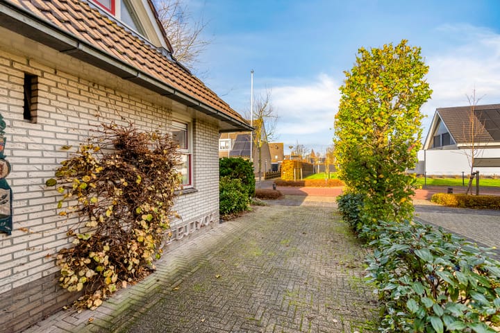 Foto 56 van Korenbloem 30