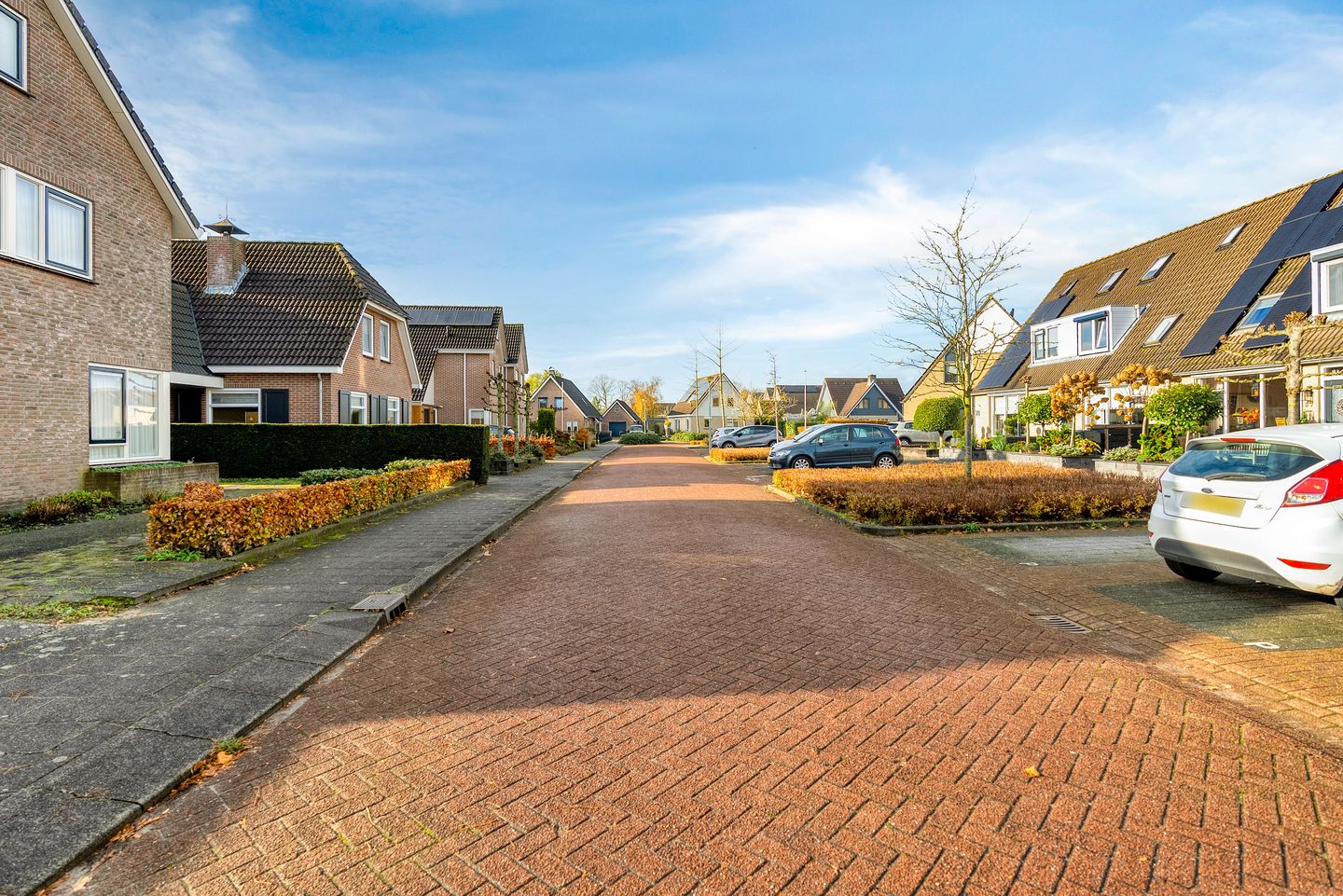 Photo 59 of Korenbloem 30