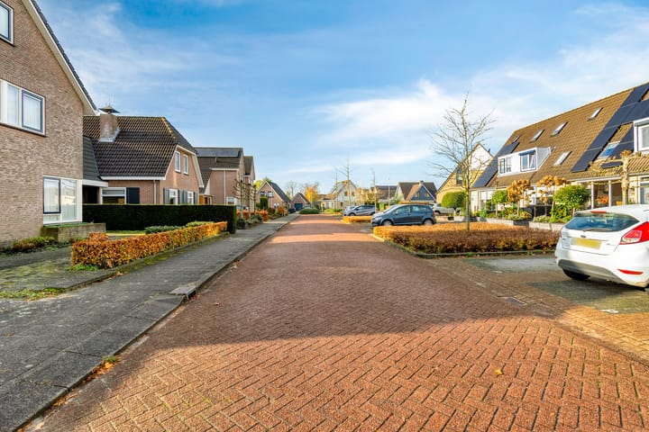 Foto 59 van Korenbloem 30