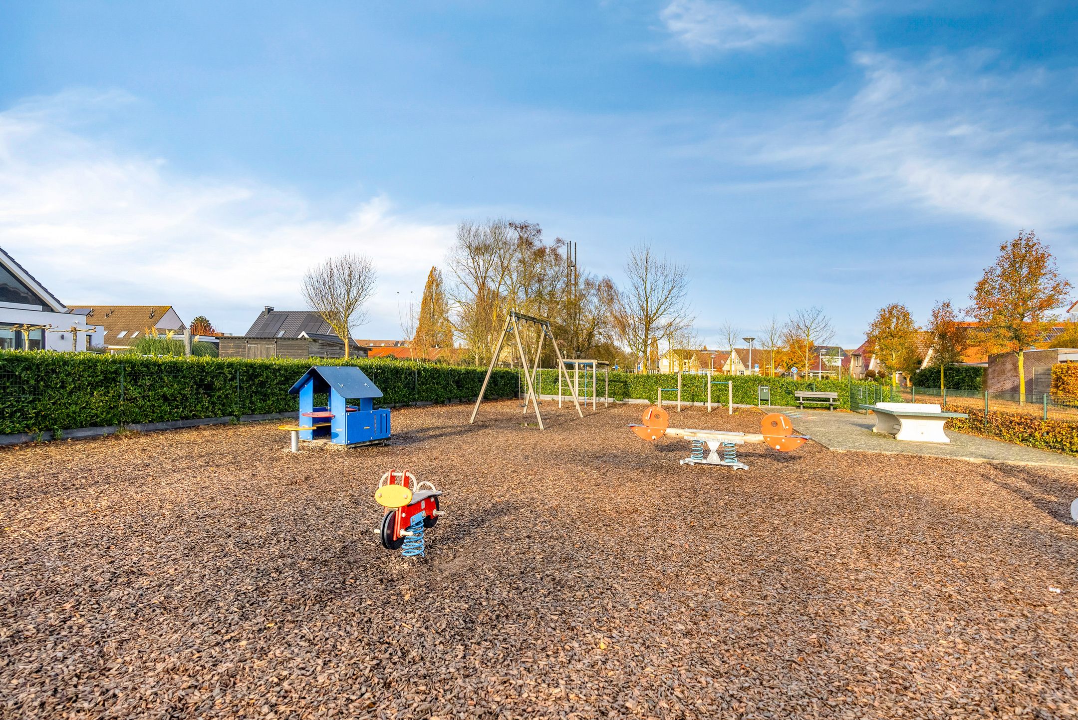 Photo 60 of Korenbloem 30