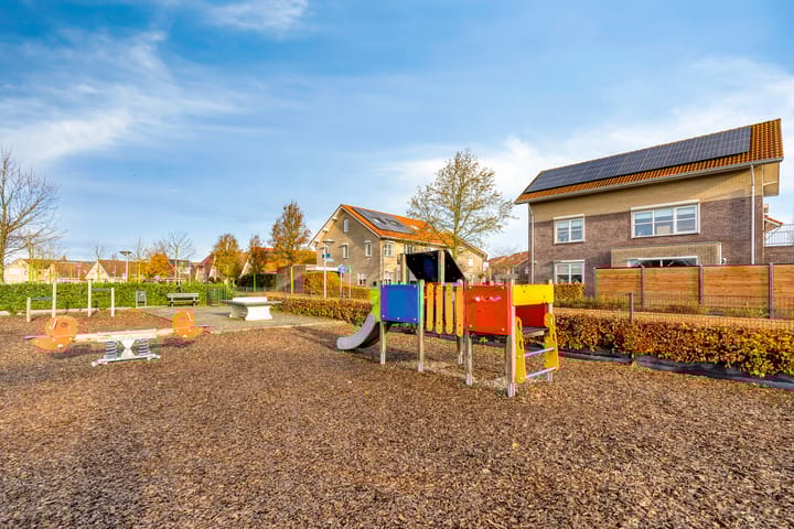 Foto 61 van Korenbloem 30