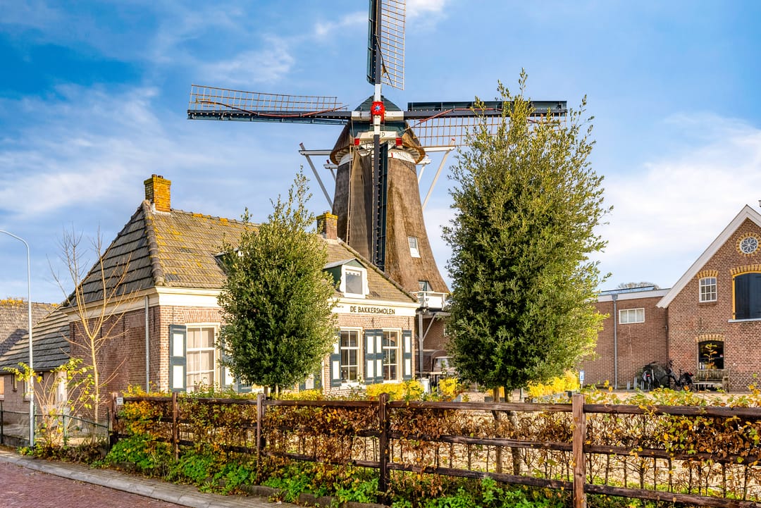 Photo 62 of Korenbloem 30