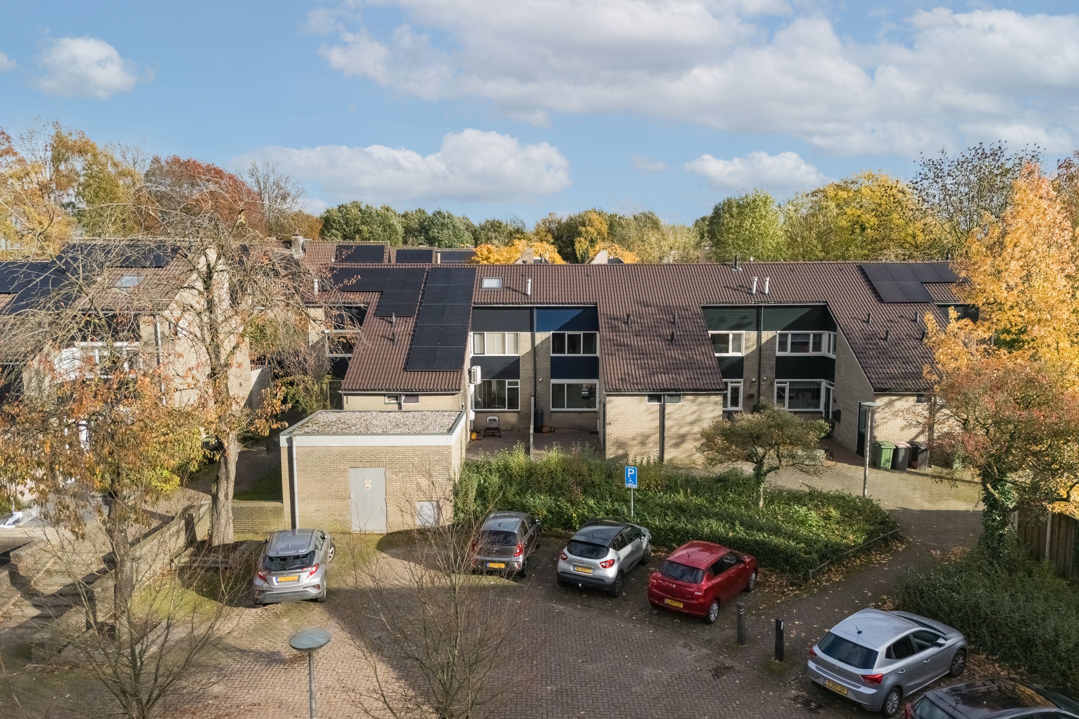 Foto 30 van Zenegroen 28