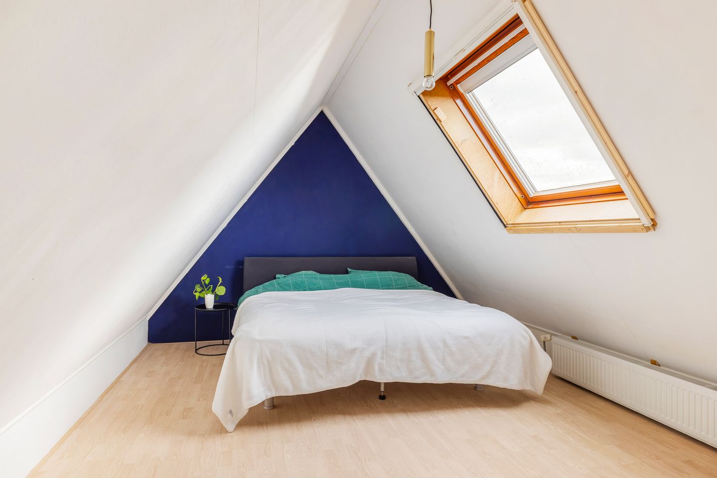 Foto 49 van Koarnleane 22