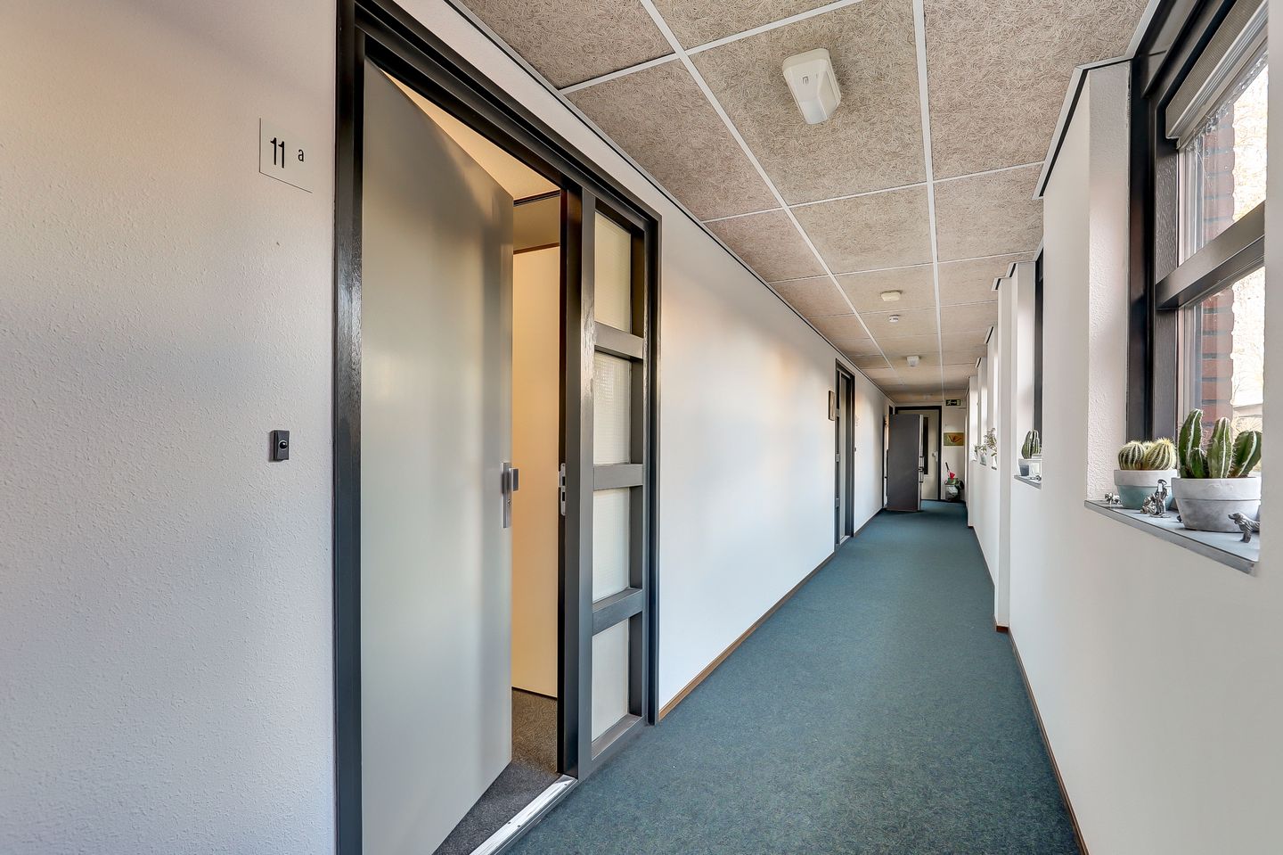 Foto 29 van Pinksterbloem 11-A