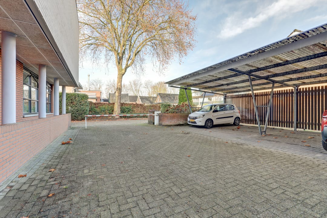 Foto 31 van Pinksterbloem 11-A