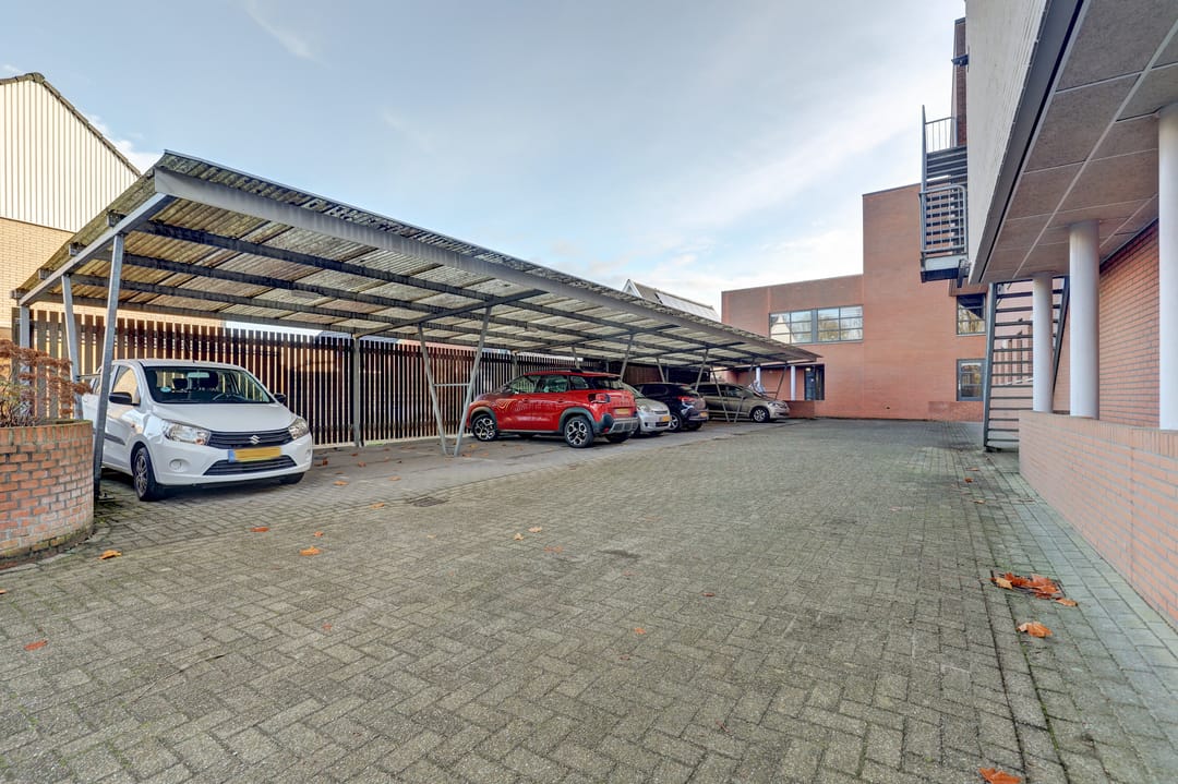 Foto 32 van Pinksterbloem 11-A