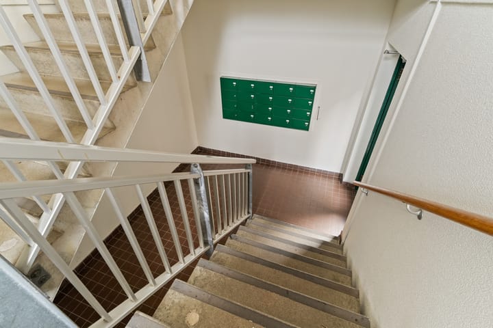 Photo 25 of Penningkruid 28