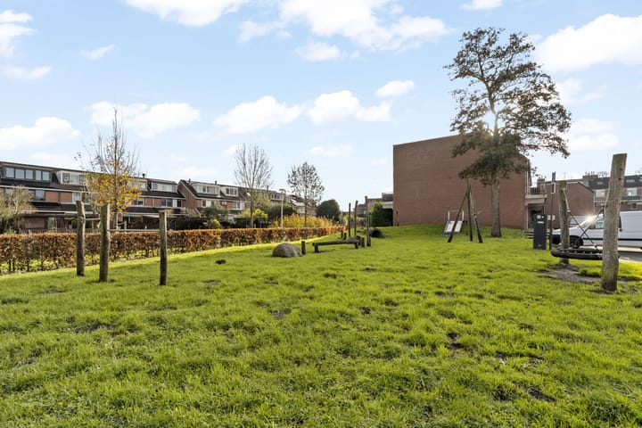 Photo 29 of Penningkruid 28