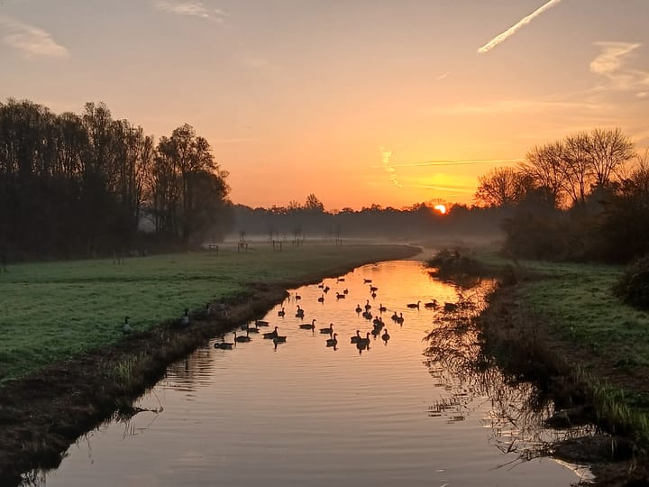 Photo 31 of Geert Grootelaan 20