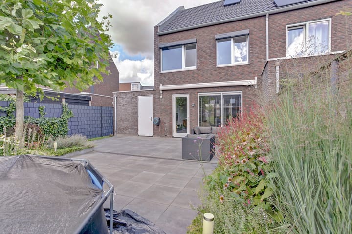 Photo 31 of Biesbosch 19