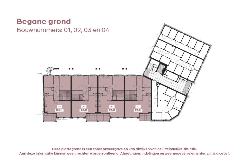 Foto 2 van D'n Hertog