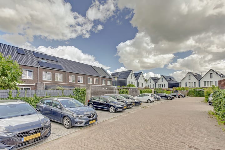 Photo 36 of Biesbosch 19