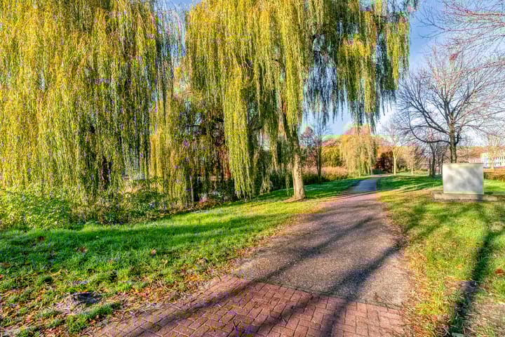 Photo 44 of Tarantellastraat 1