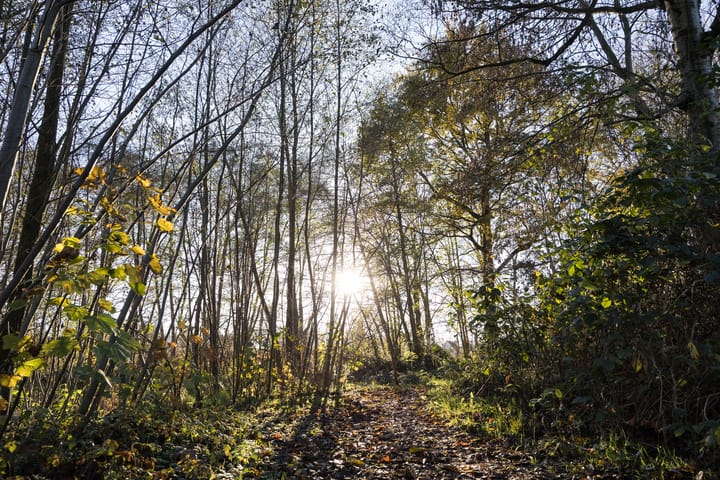 Foto 25 van Tusselerdijk 4-H114