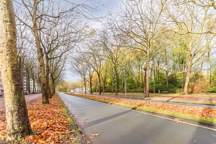 Photo 22 of Van Nijenrodeweg 14