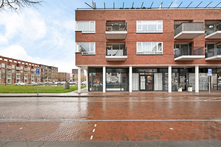 Photo 34 of Damlaan 60-D