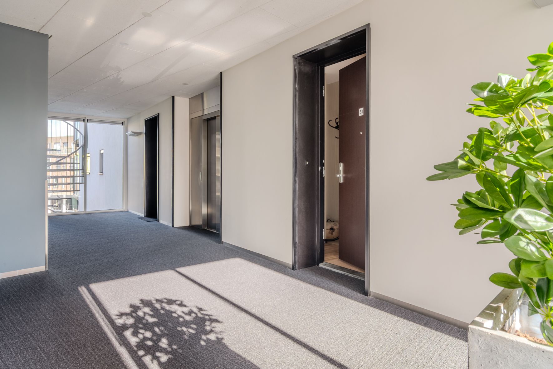 Photo 6 of Triade 51