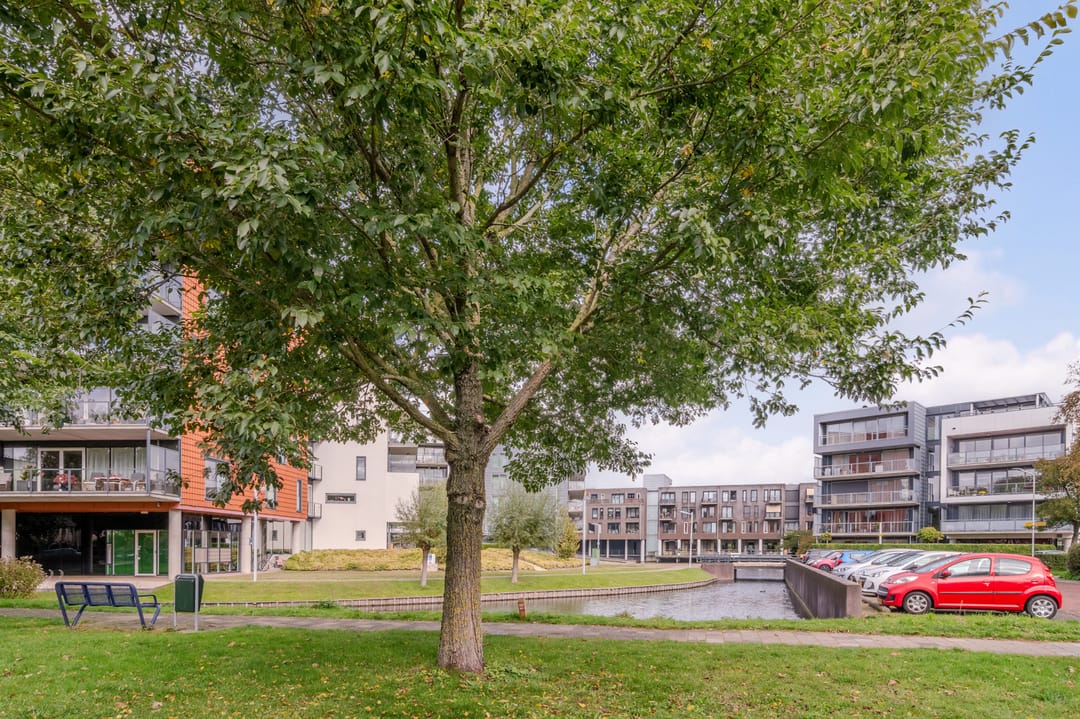 Photo 37 of Triade 51