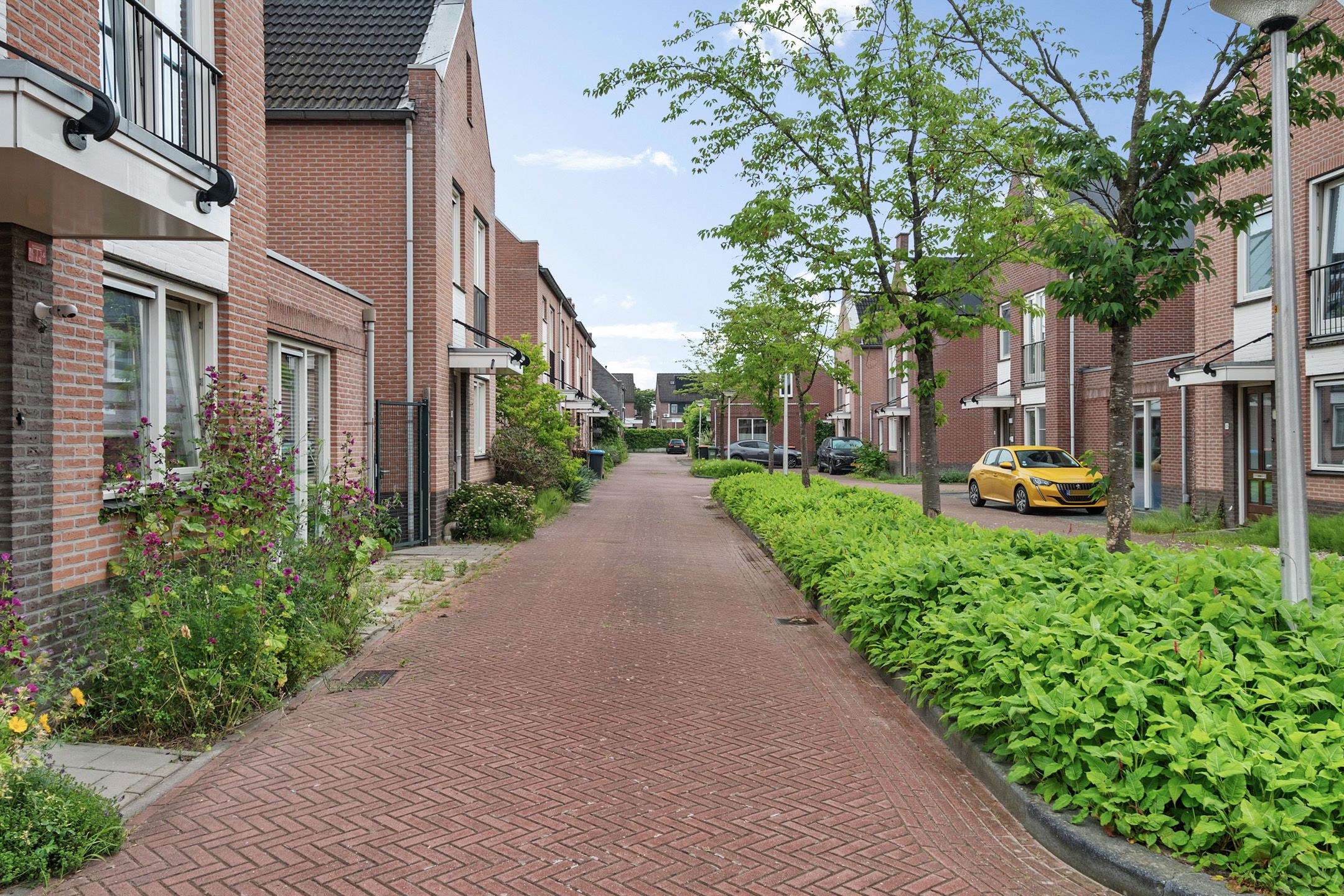 Photo 39 of Oosterhof 26