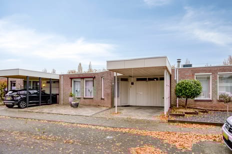 Purperbeer thumbnail