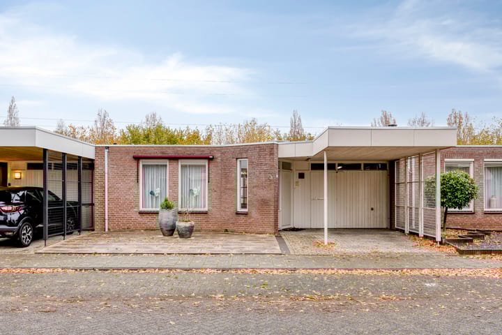 Photo 5 of Purperbeer 29