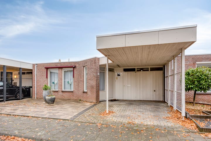 Photo 6 of Purperbeer 29