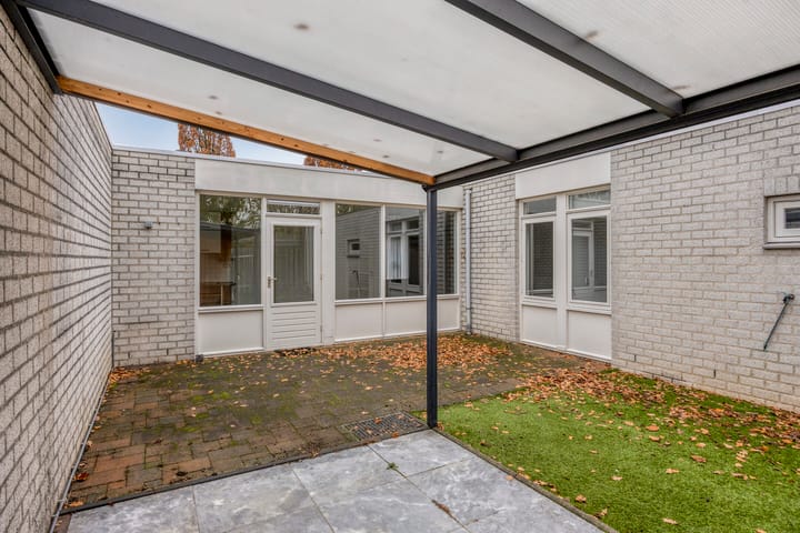 Photo 20 of Purperbeer 29