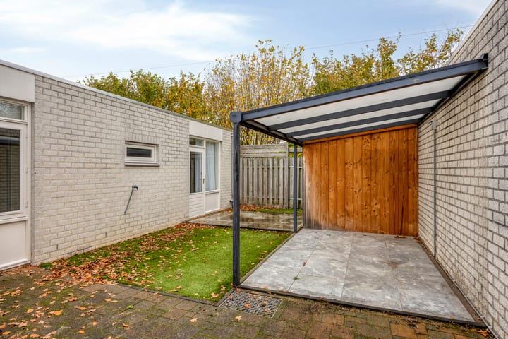 Photo 21 of Purperbeer 29