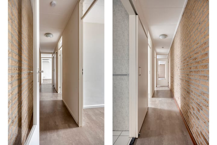 Photo 22 of Purperbeer 29