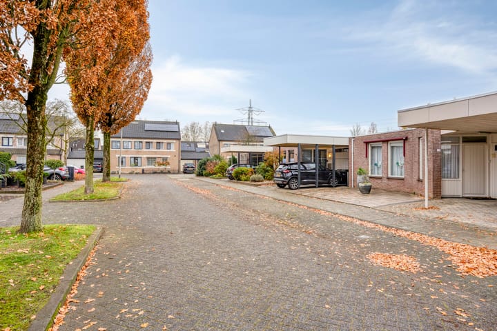 Photo 32 of Purperbeer 29