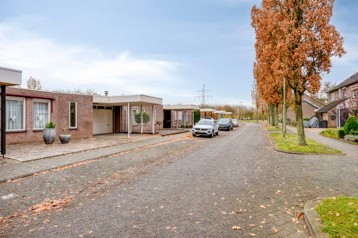 Photo 33 of Purperbeer 29