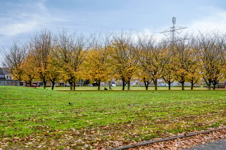 Photo 34 of Purperbeer 29