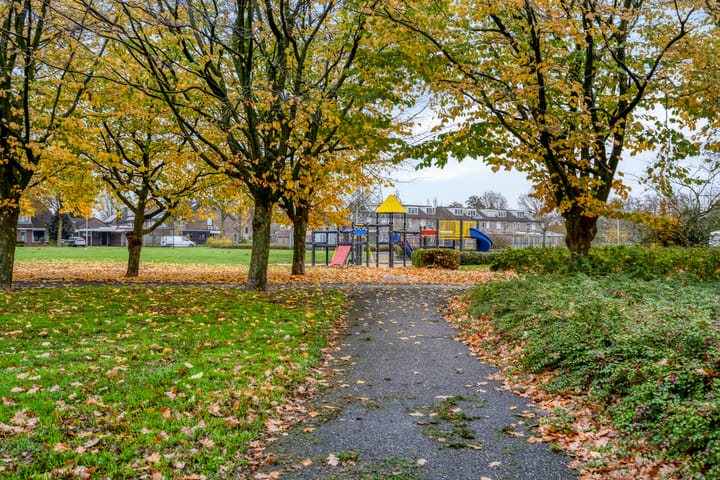 Photo 35 of Purperbeer 29