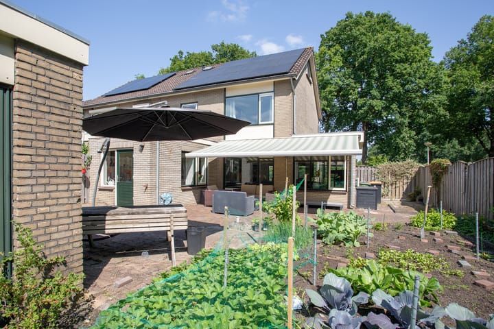 Photo 3 of Wijnruitstraat 9