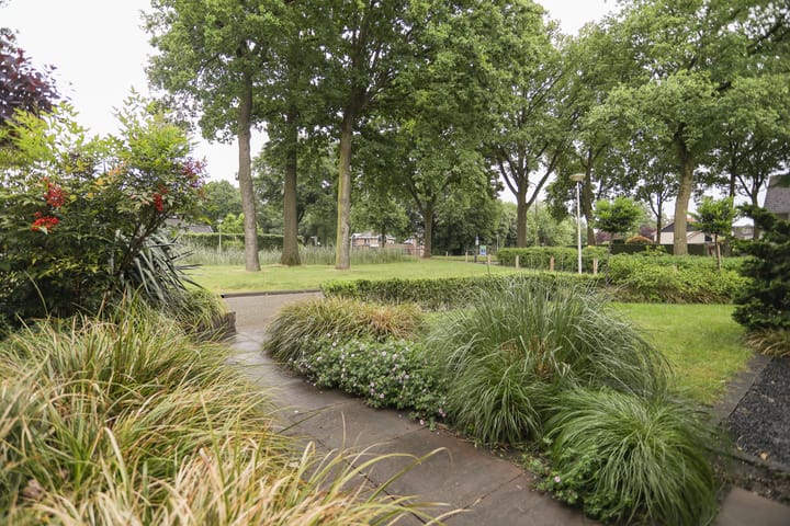 Photo 4 of Wijnruitstraat 9