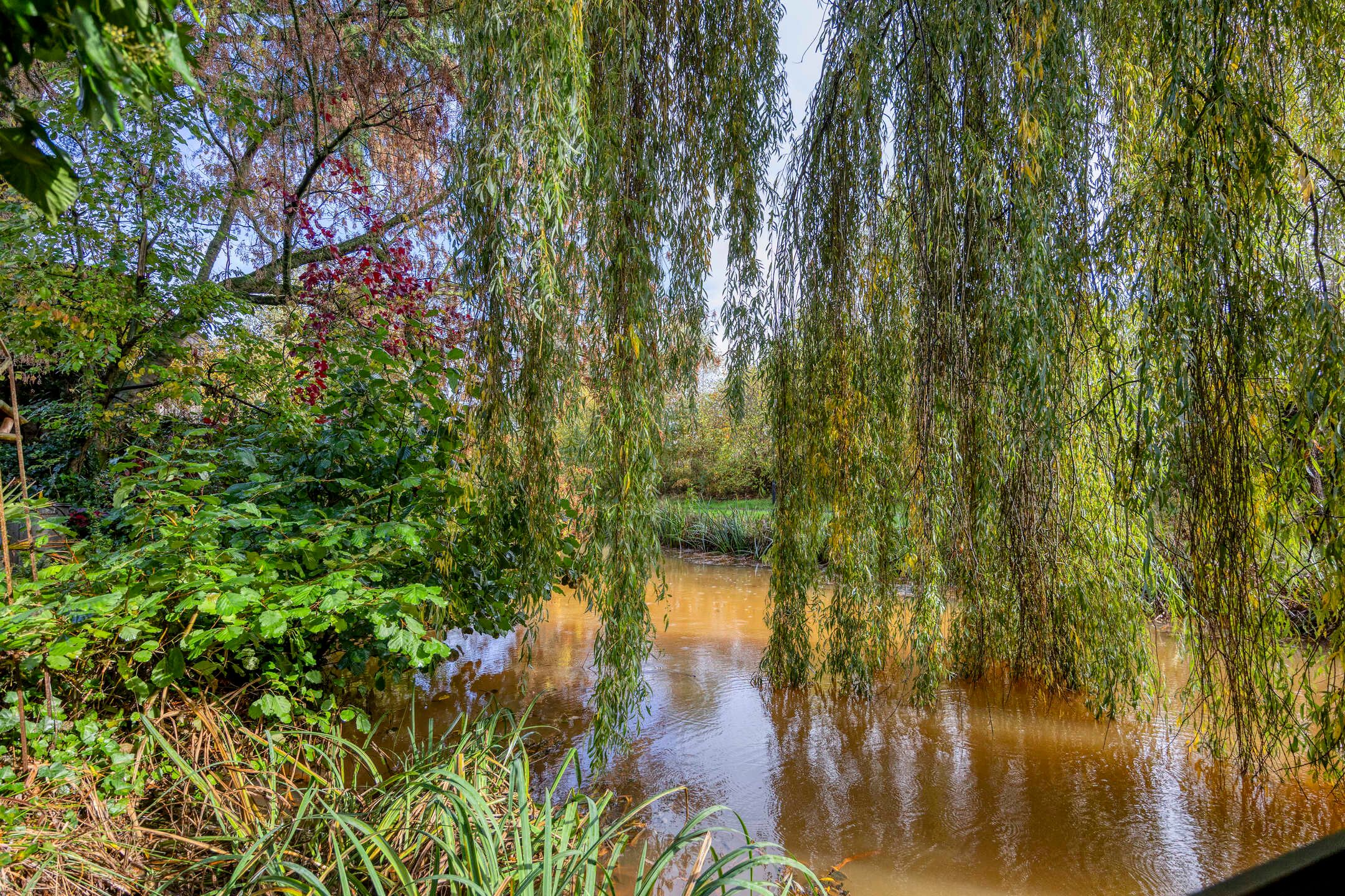 Foto 39 van Efferen 412