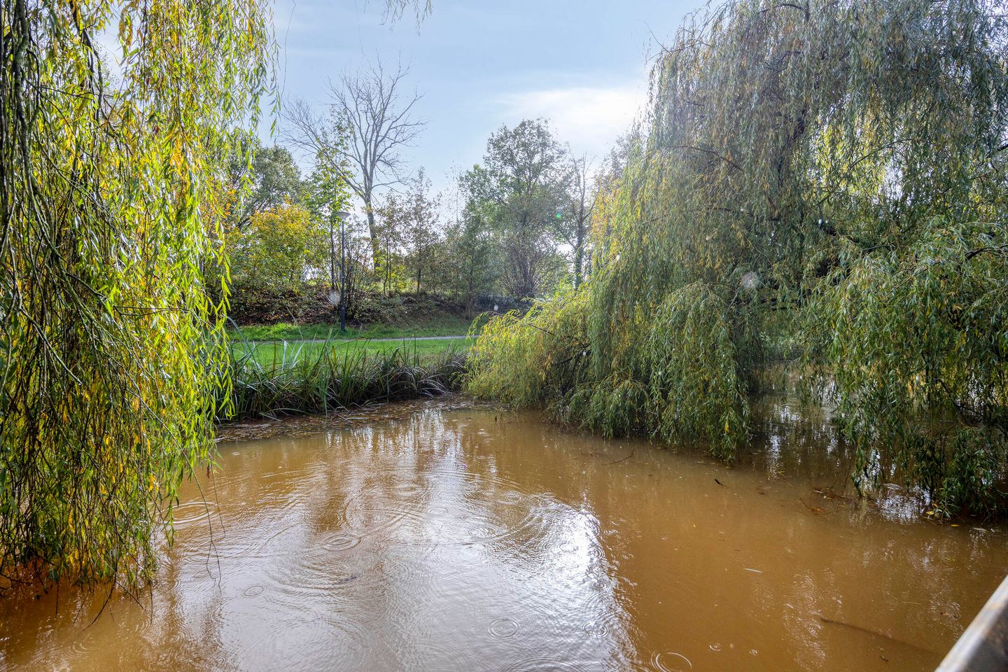 Foto 40 van Efferen 412