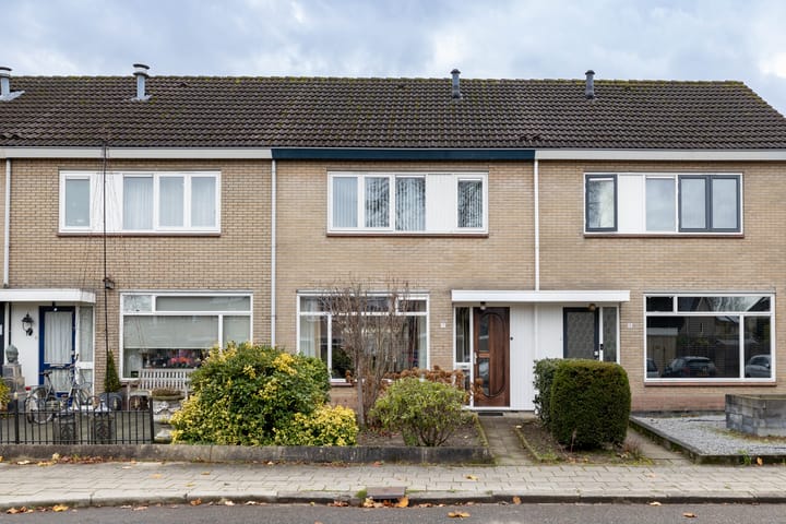 Foto 44 van Hamsterborg 11