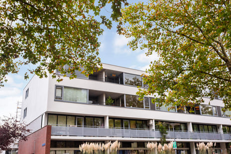 Oranjeboomstraat 54-B secondary image