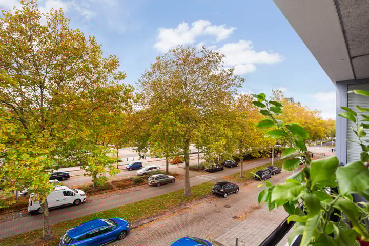 Foto 20 van Oranjeboomstraat 54-B