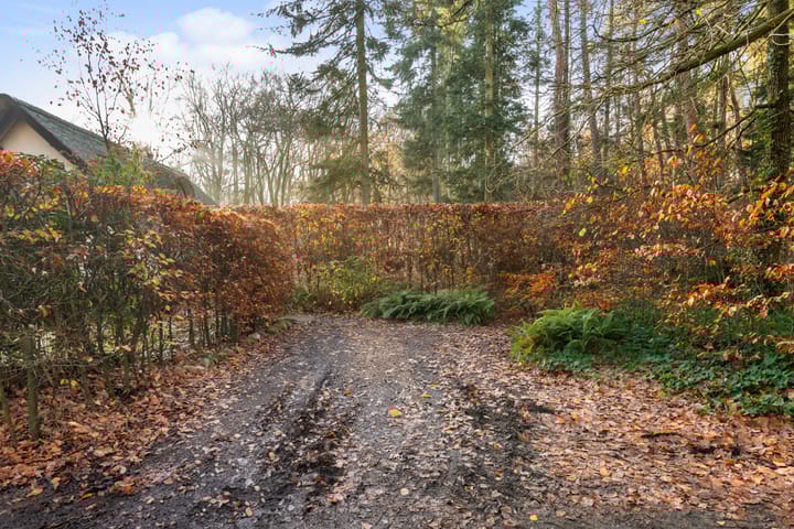 Photo 57 of Zuiderveldweg 3-A