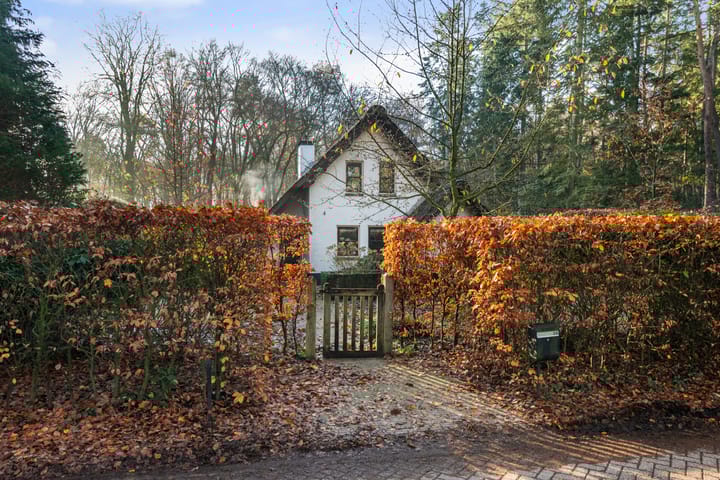 Photo 62 of Zuiderveldweg 3-A